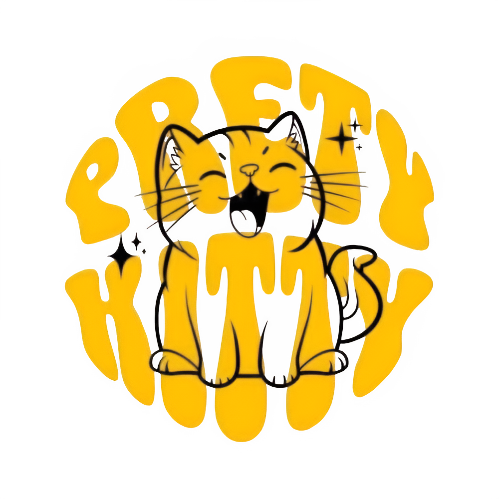 Oversized Unisex "pretty hitty" comfy Cotton T - Shirt